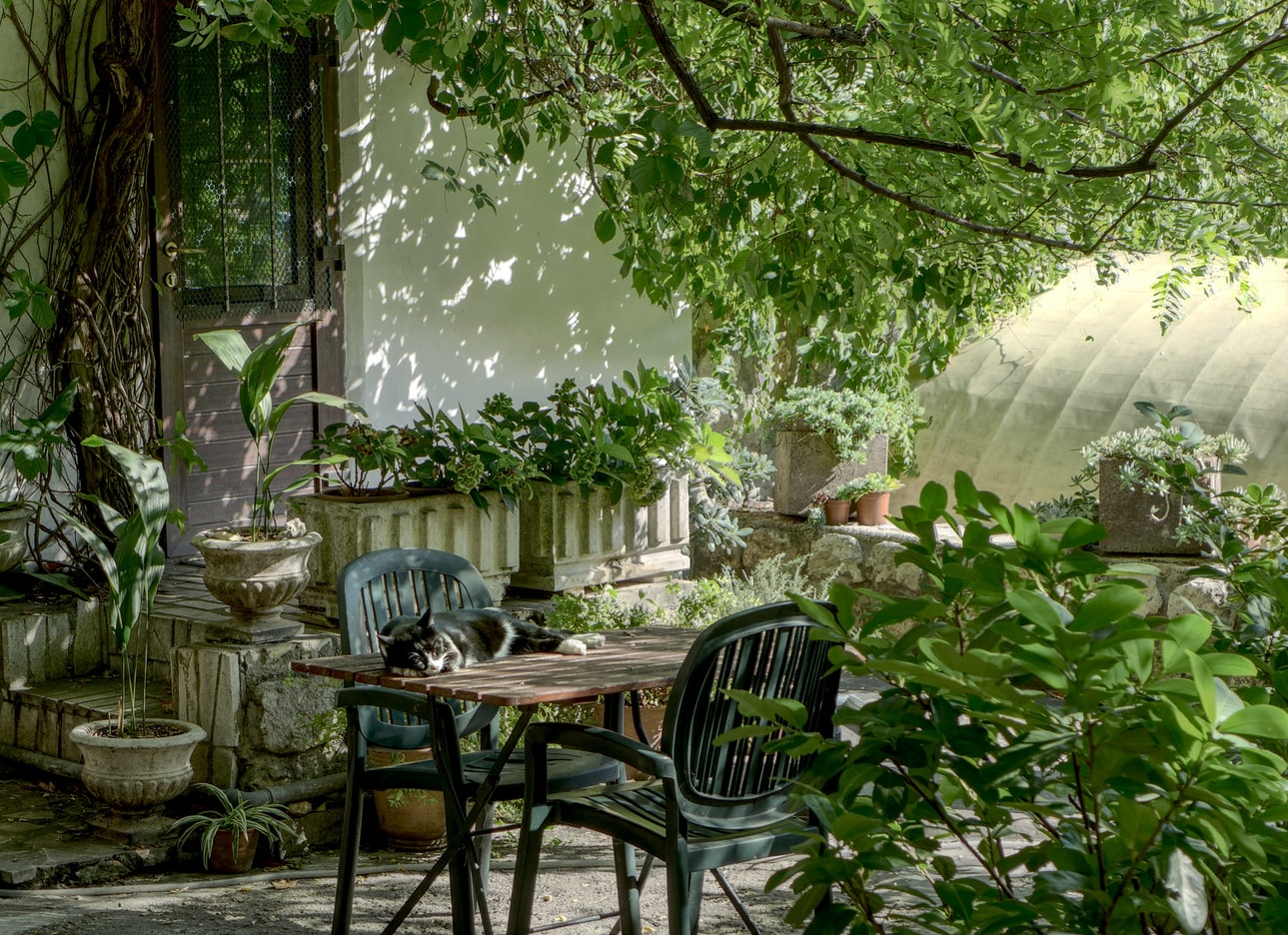 The image shows a lush green garden with potted plants, highlighting the importance of using softened or filtered water to prevent hard water damage to plants