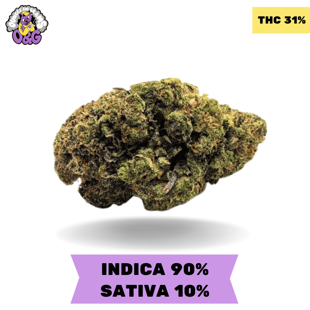 その他 CNP liquid indica Purge Solutions CYCLOPS Y - Purge Indicator