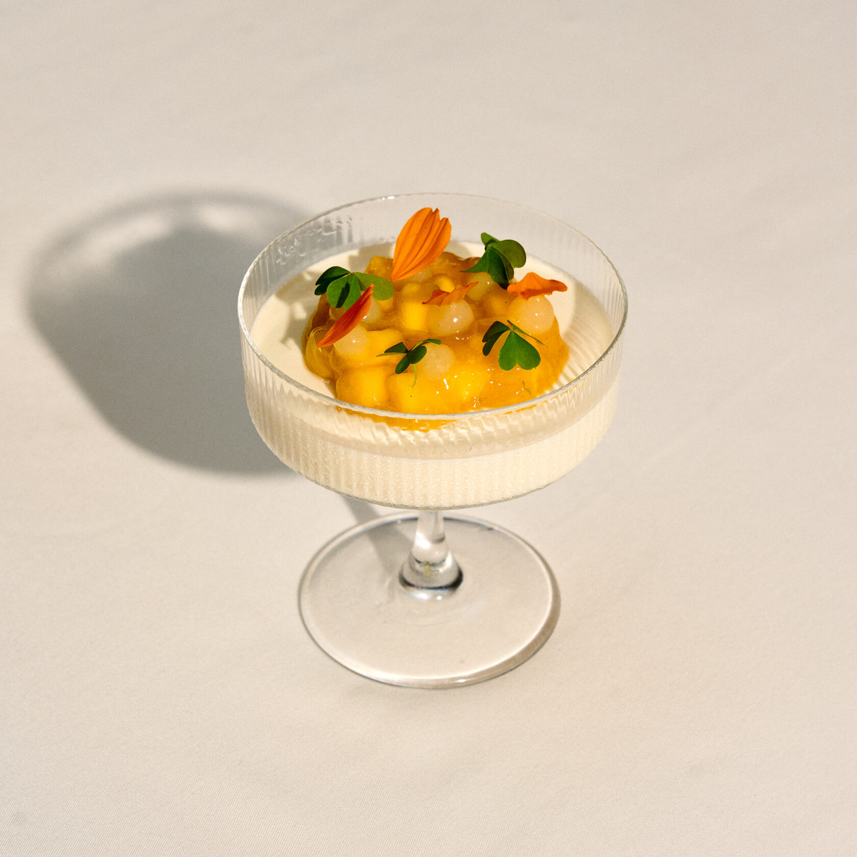 Panna cotta