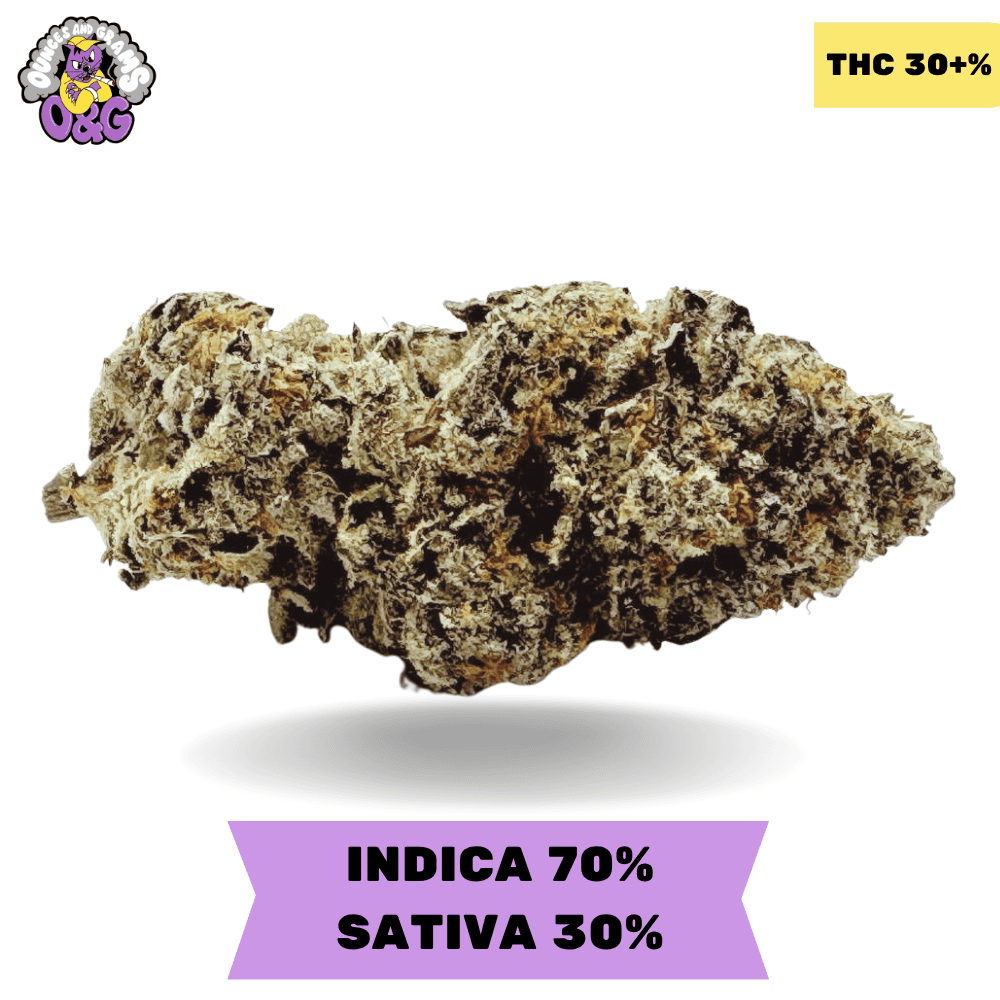 その他 CNP liquid indica Purge Solutions CYCLOPS Y - Purge Indicator