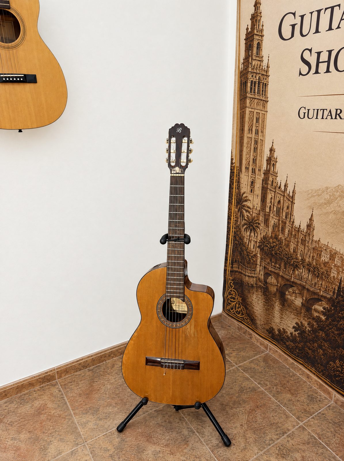Prudencio Sáez 50 Cutaway