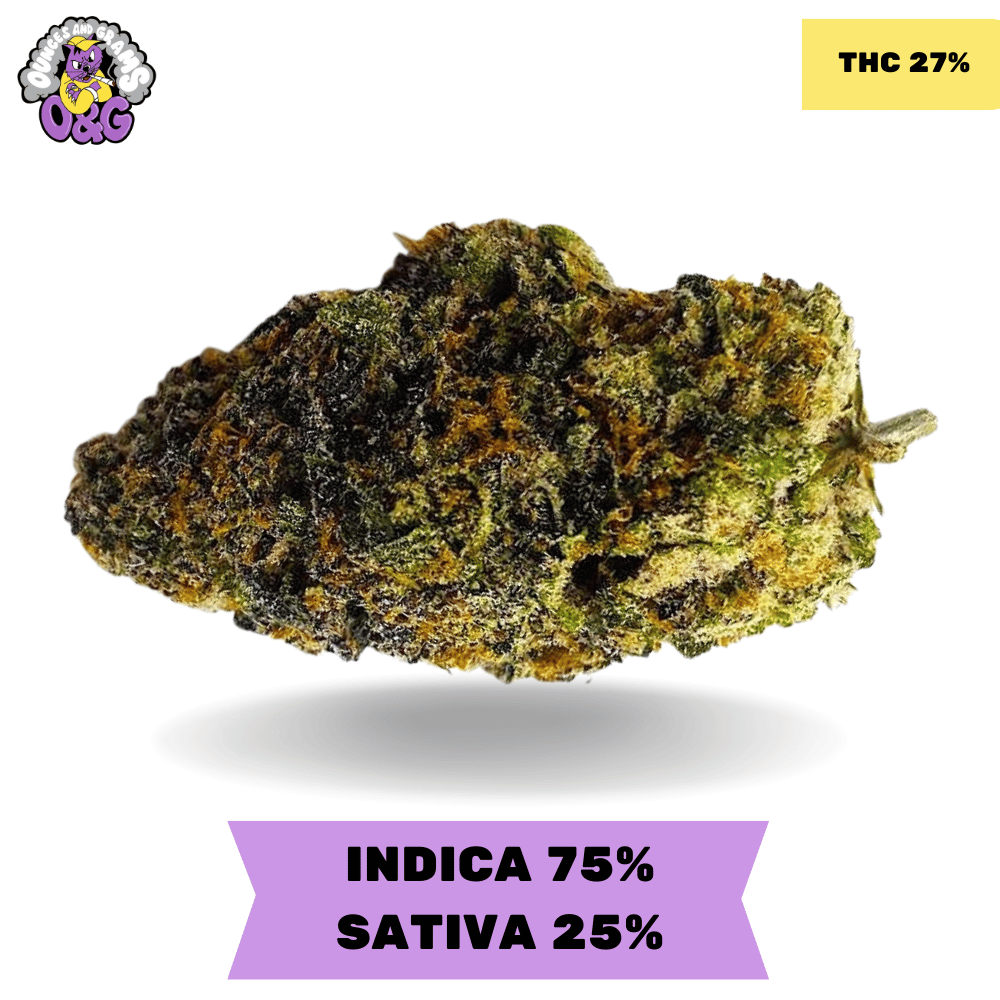 その他 CNP liquid indica Amazon | CPXリキッド 60% ゼログラビティ+ Weedyyz 通販限定 公式