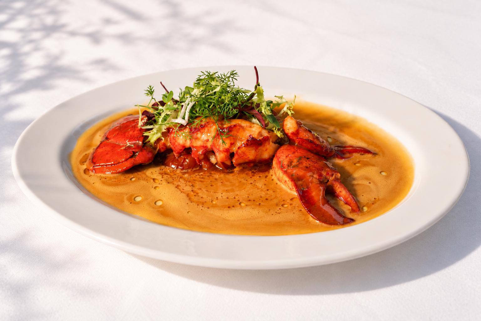 Lobster