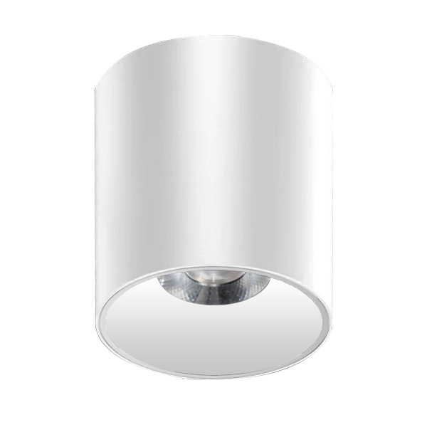Светильник LED накладной DLS-1-3000-W белый