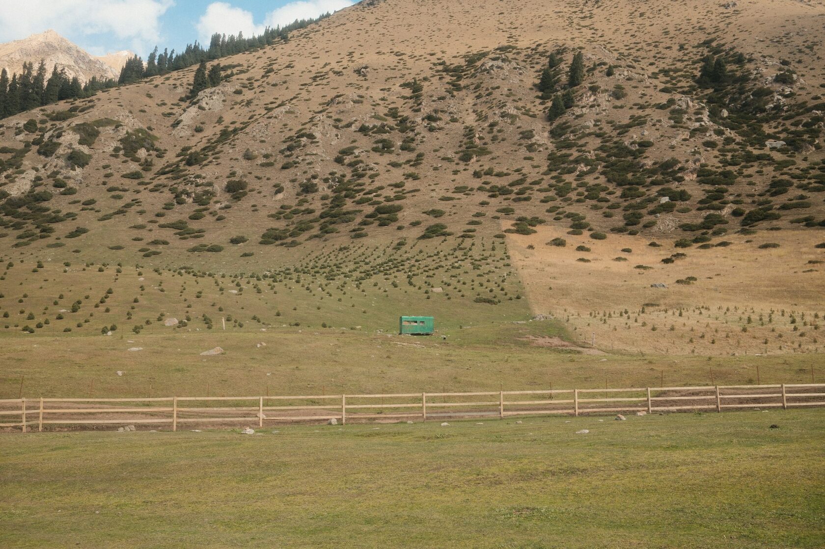 Riders on horseback along a mountain trail