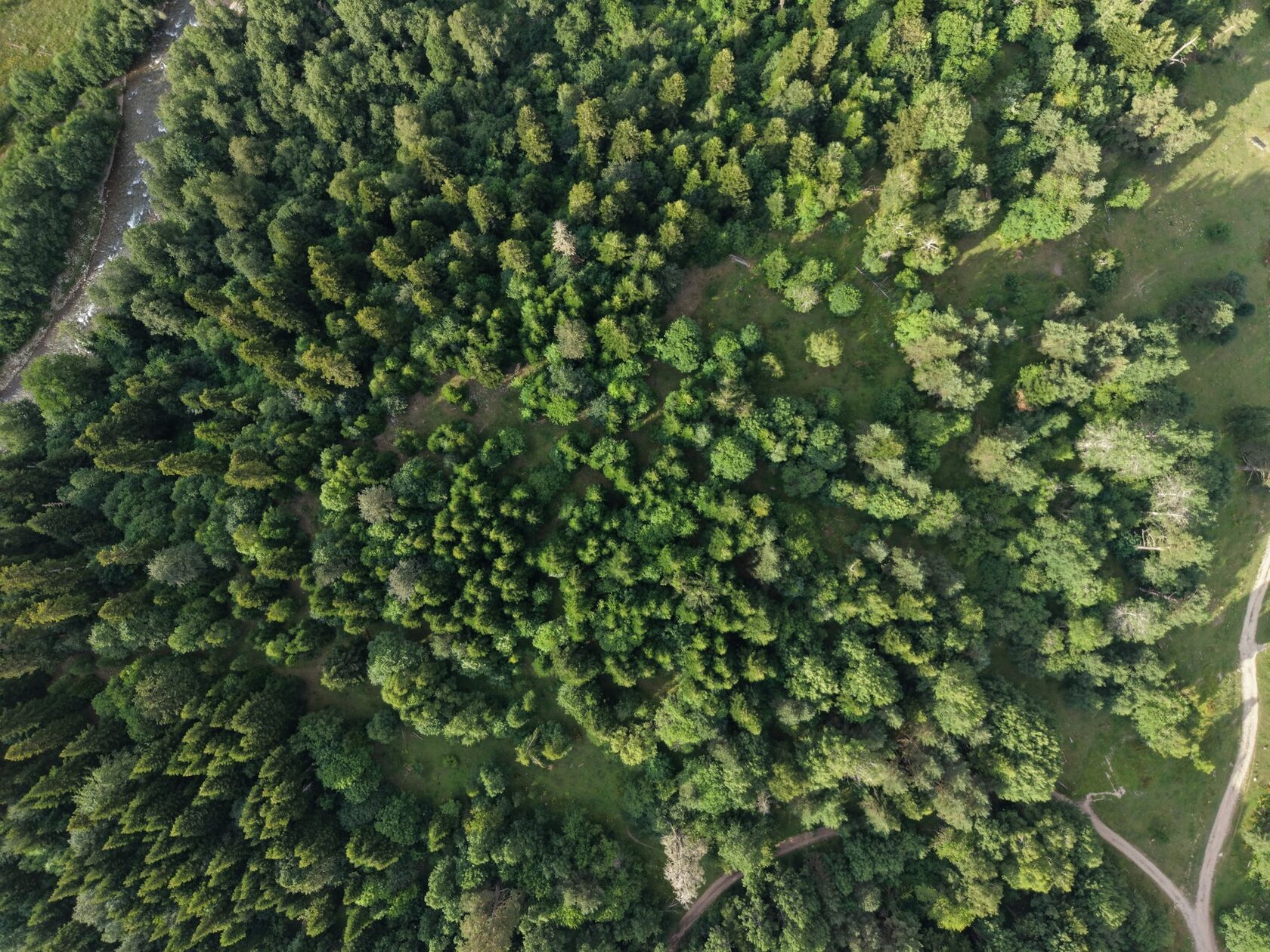 Aerial view of a river winding through dense rainforest canopy