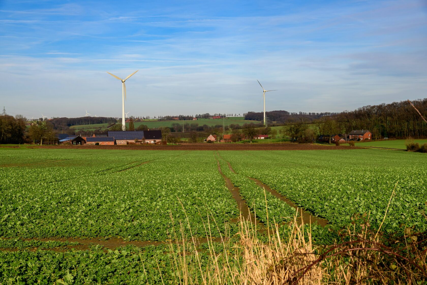 Solar panels and wind turbines