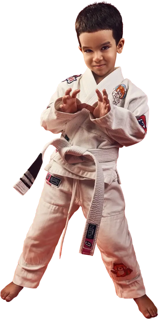 Young athlete practising a martial arts stance