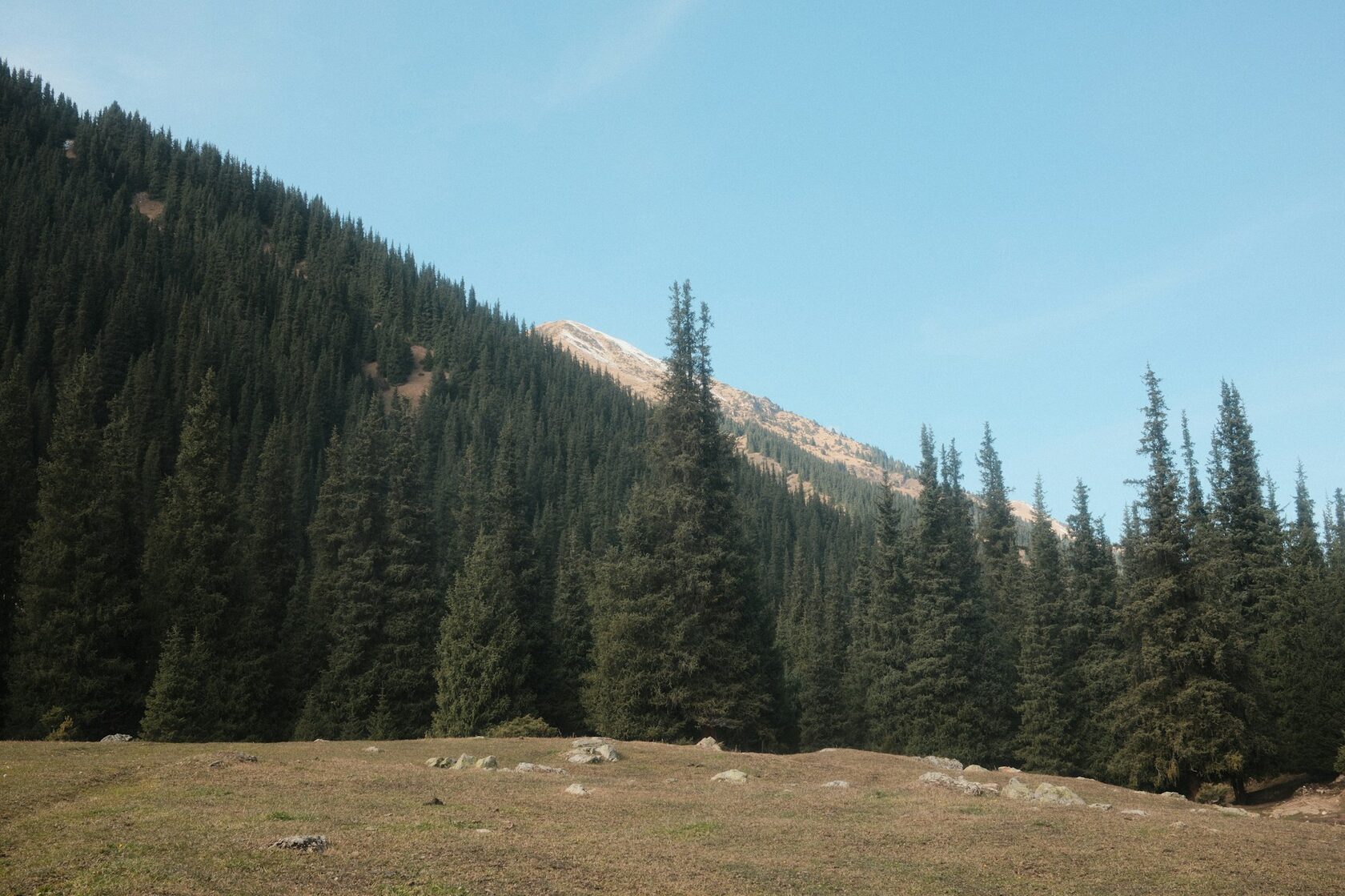 Horses grazing on the highland meadows around Song-Kol