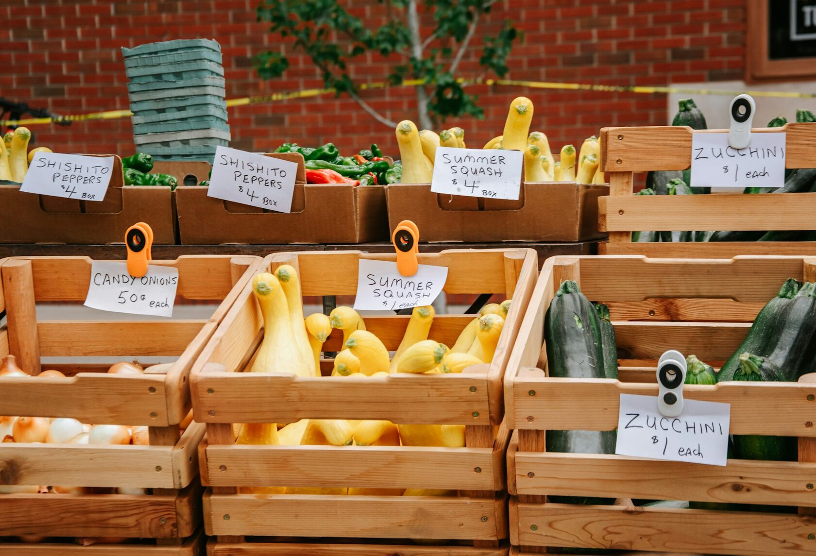 Fresh vegetables in a market crate
