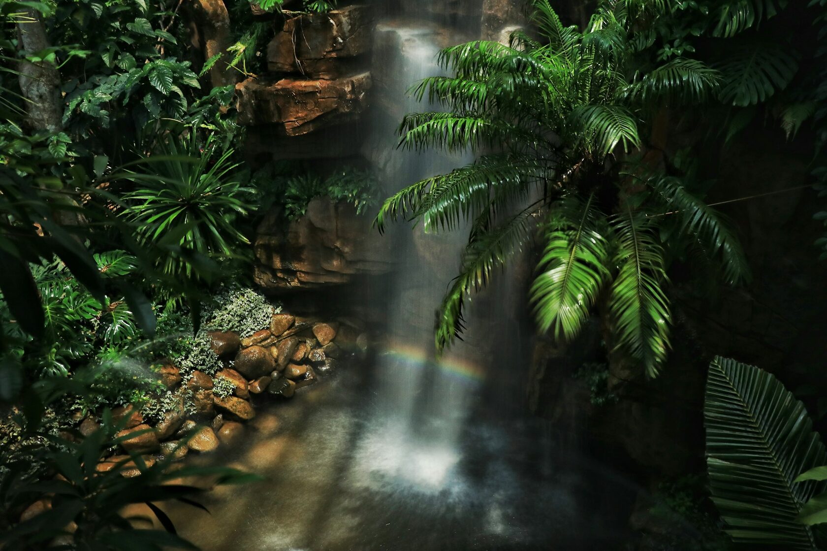 Tropical waterfall falling into a clear jungle pool