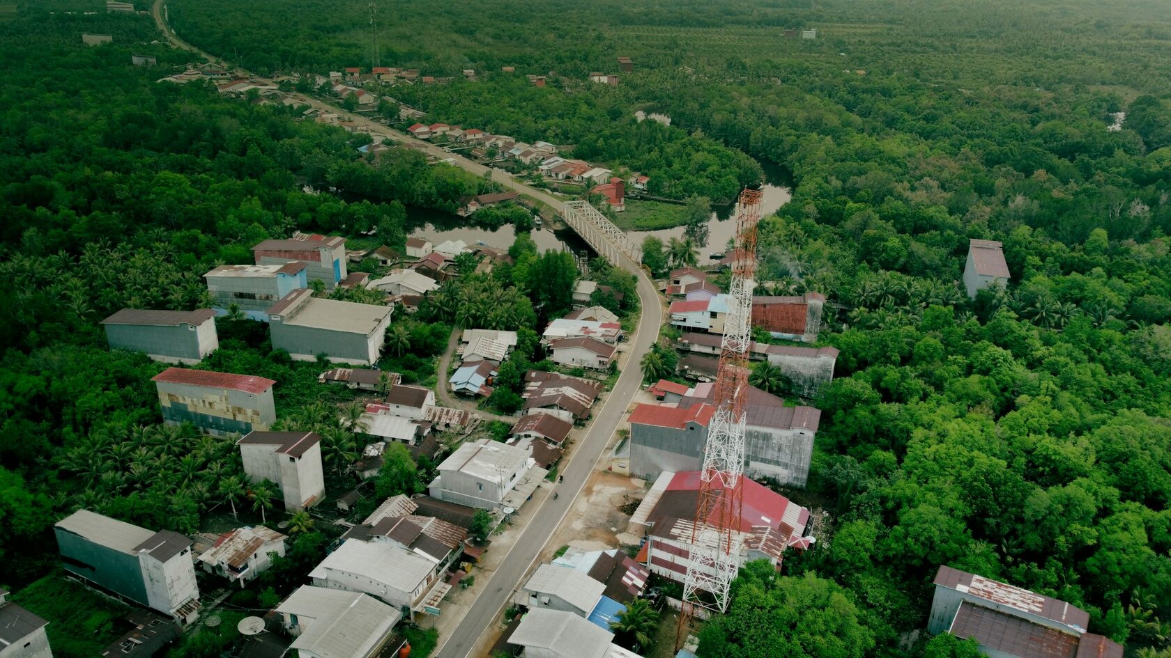 Aerial view of a tropical forest river