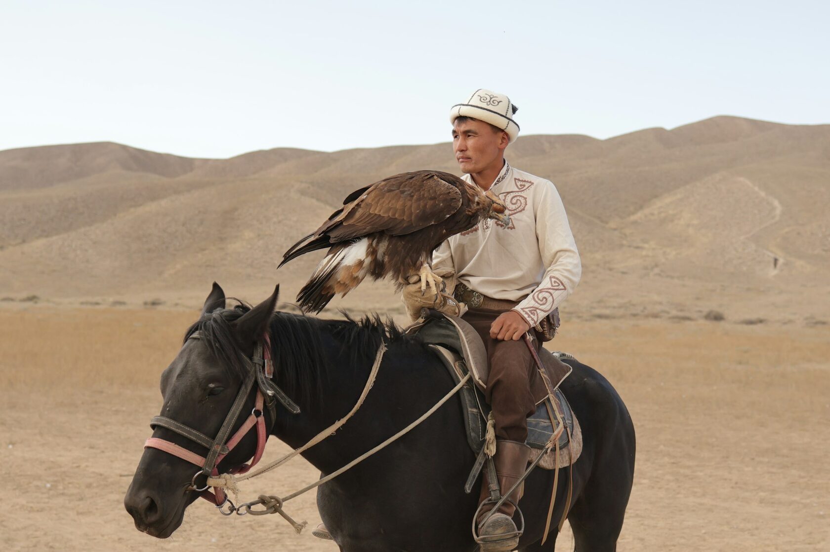 Kyrgyz eagle hunter with a golden eagle