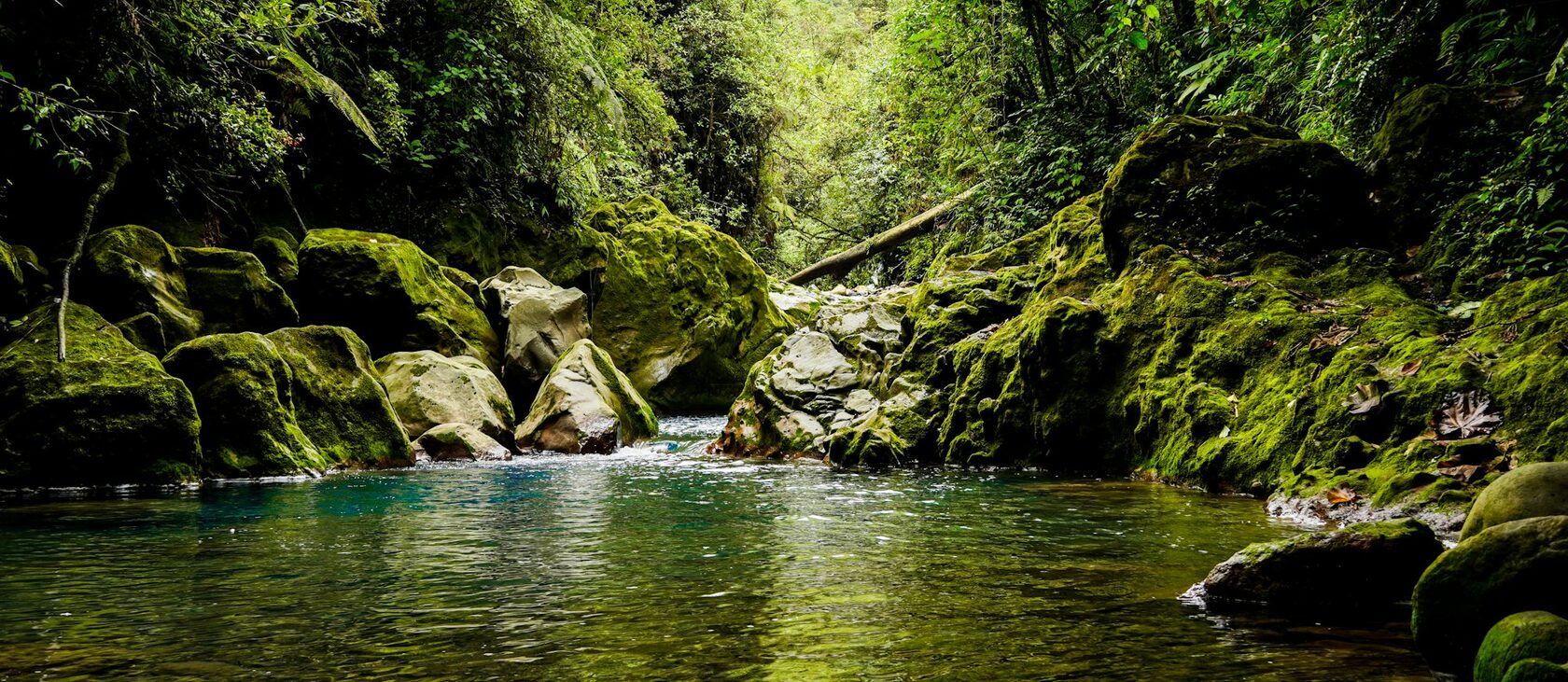 Tropical waterfall falling into a jungle pool