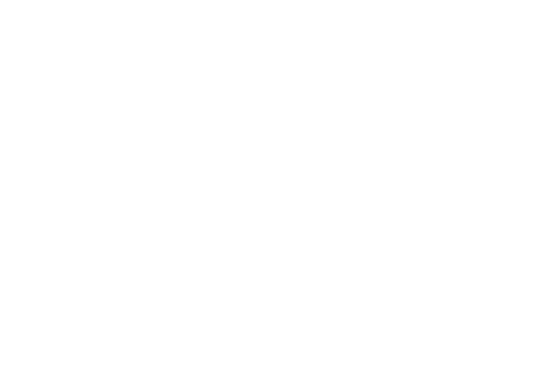 LemBS