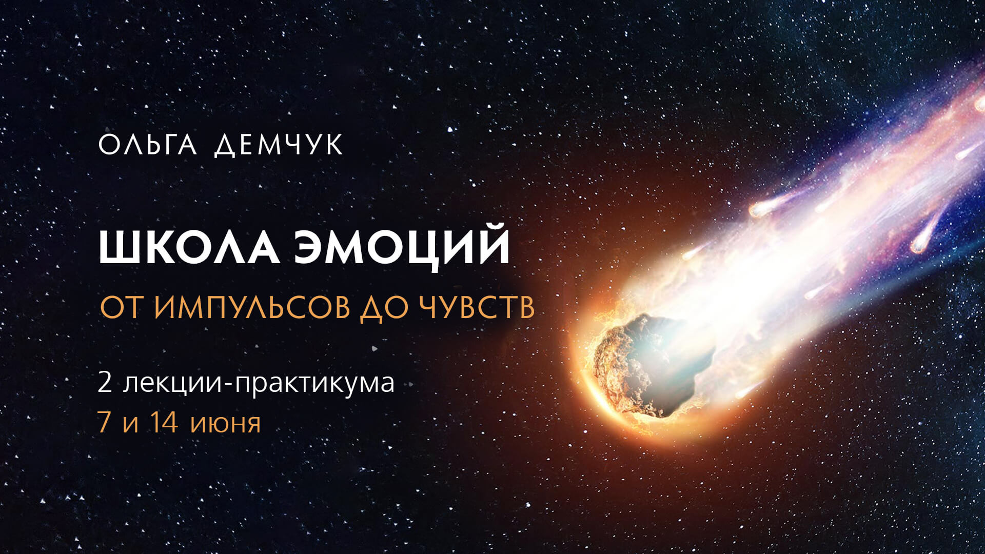 olgademchuk.org