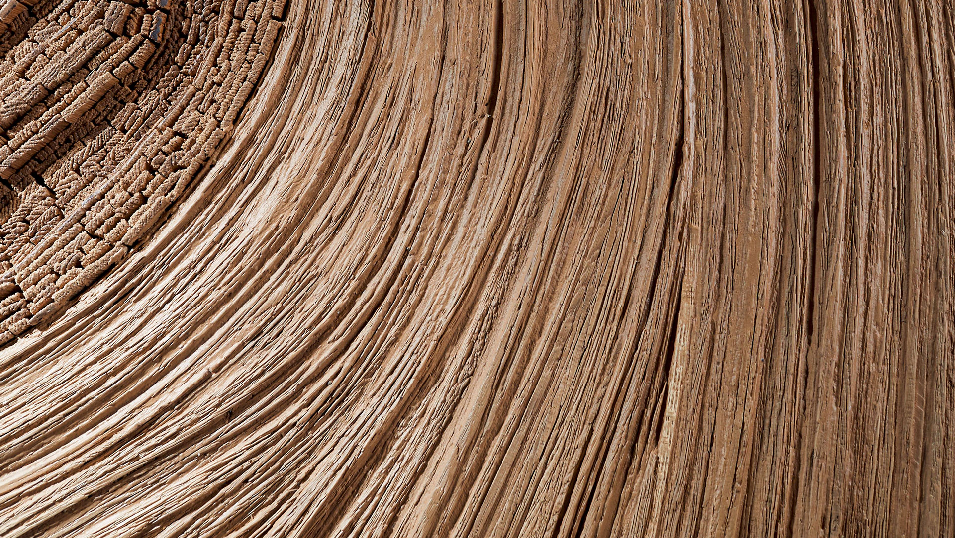 Wall Decor Panel Design Wood Art by Tor Design - Dandelion