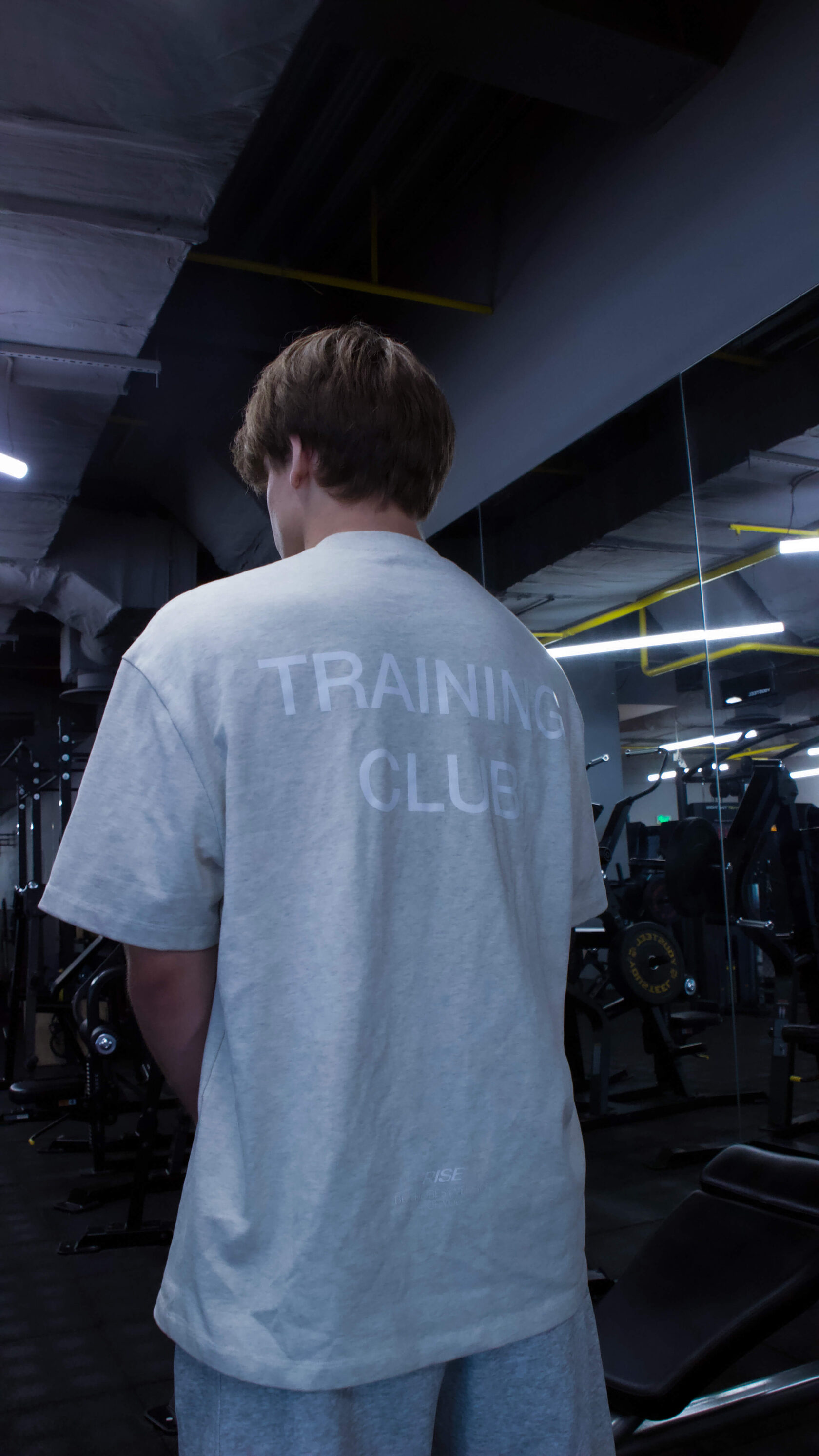 Мужская футболка Rise Training Club серо-бежевая спортивная