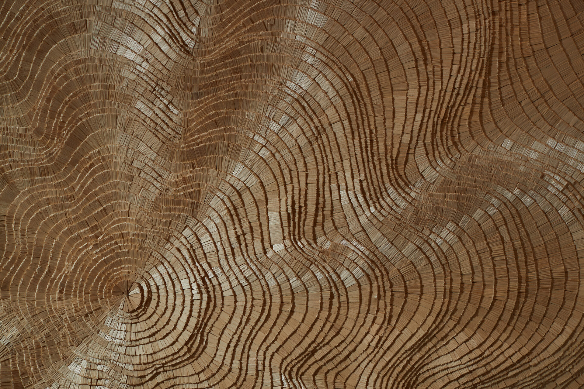 Gallery Exhibition Wood Wall Decor In the Stream of the Tree by Tor Design