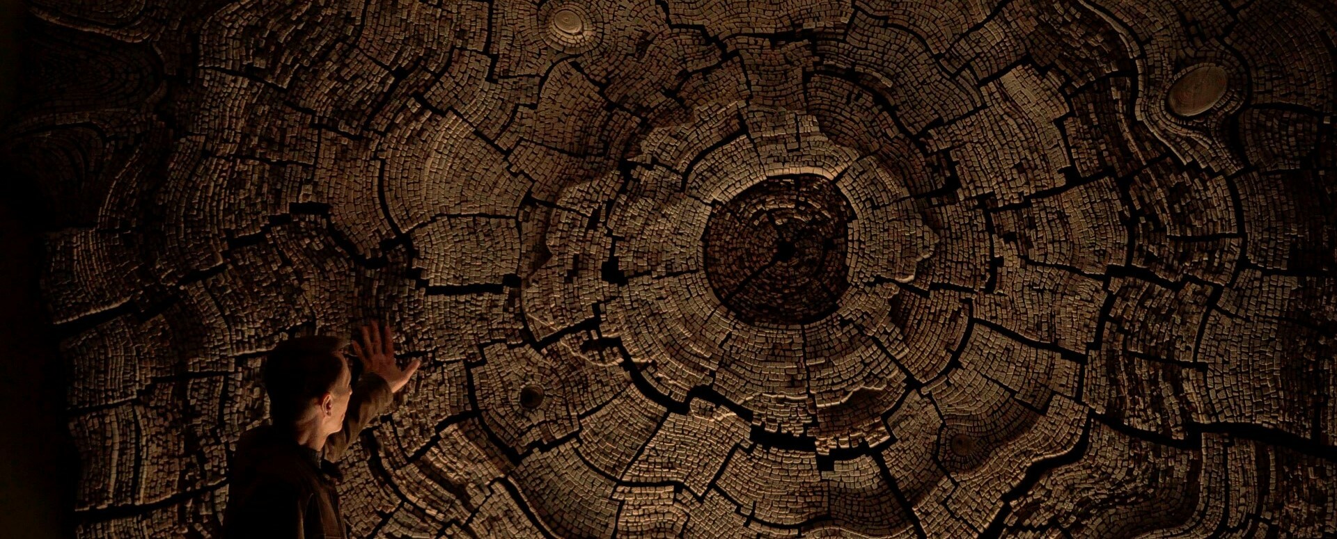 Wooden ArtworkLegend of Gondwana Project by Tor Design