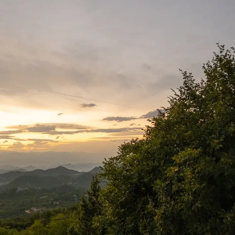 7 days retreat A Journey into Wellness Yoga & Nature Retreat by Loren Hardy