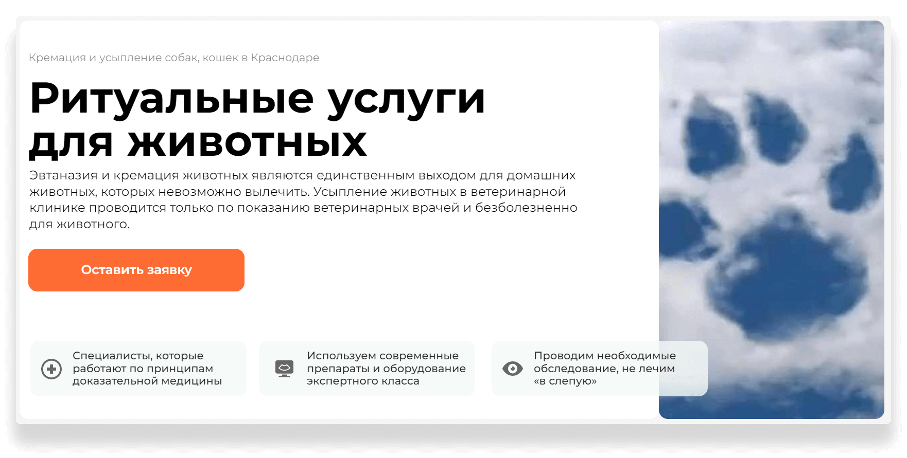 Услуги по усыплению собаки с кремацией в Москве на Профи