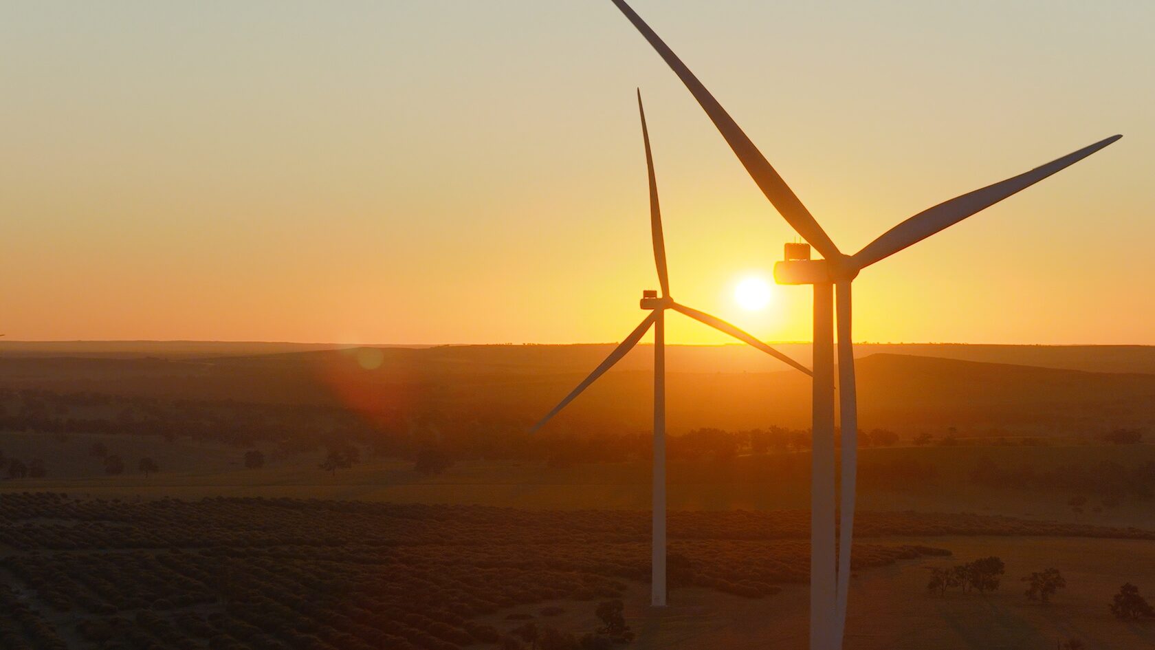 Economic Impact Focus — investment and long-term value