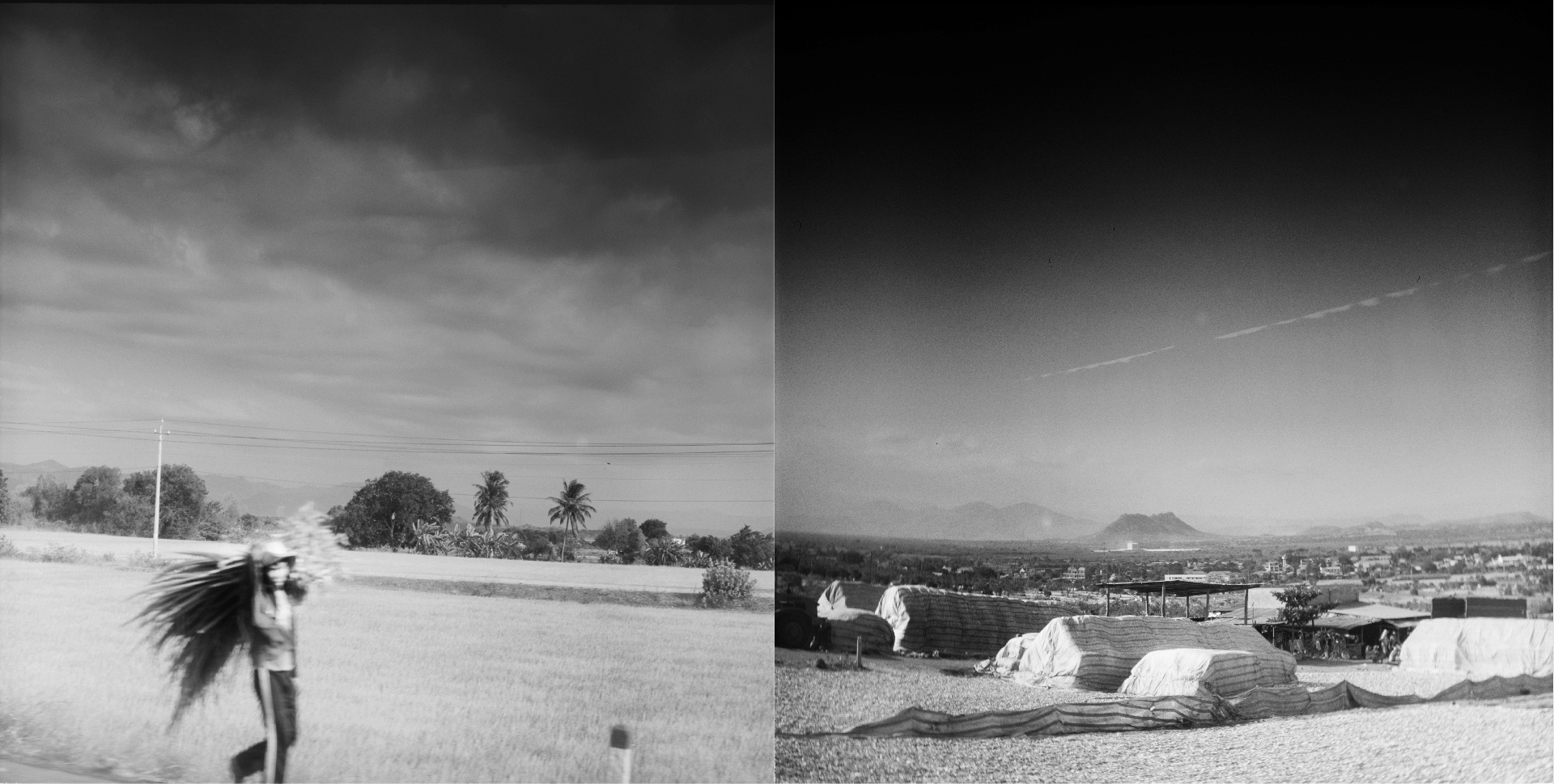 Middle Vietnam: A guy with a heap of sugarcane. A marketplace