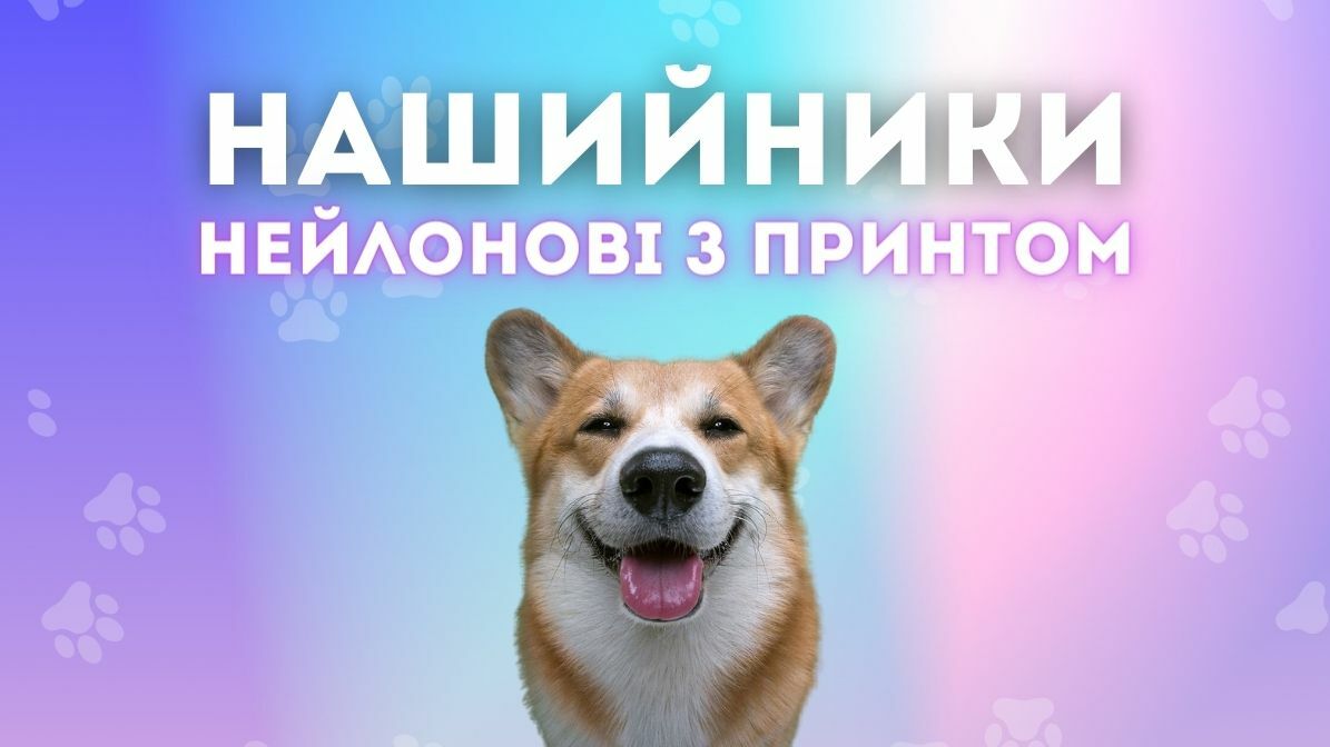 Нашийники нейлонові з малюнками для собак та котів. Дизайнерські нашийники