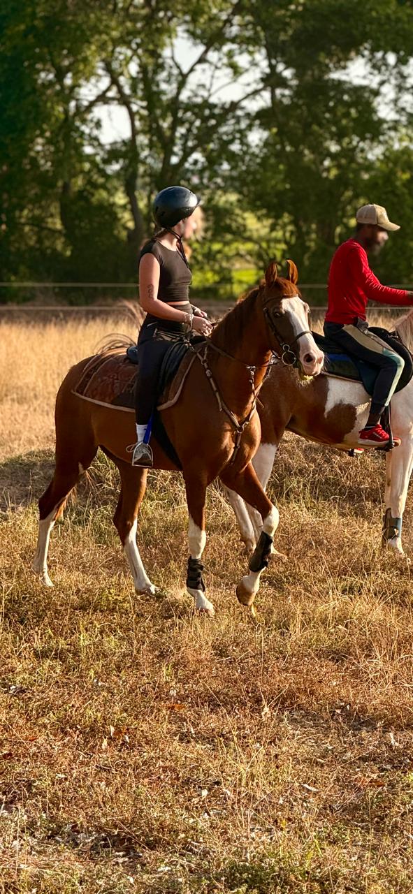 Vonfidel Ranch trails and terrain