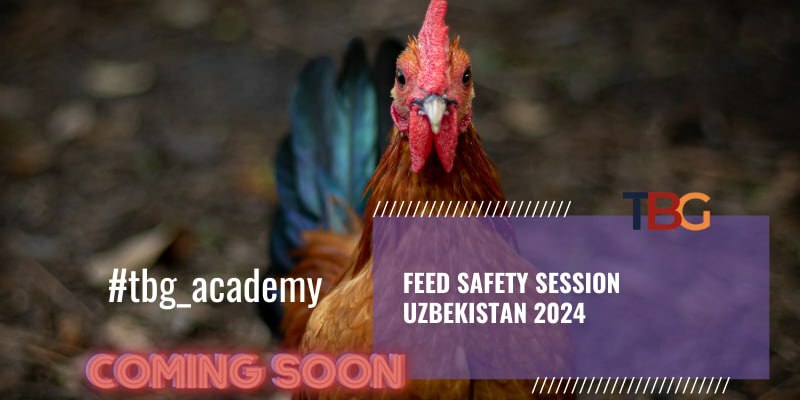 GMP+ Academy for Market of Kazakhstan is completed!