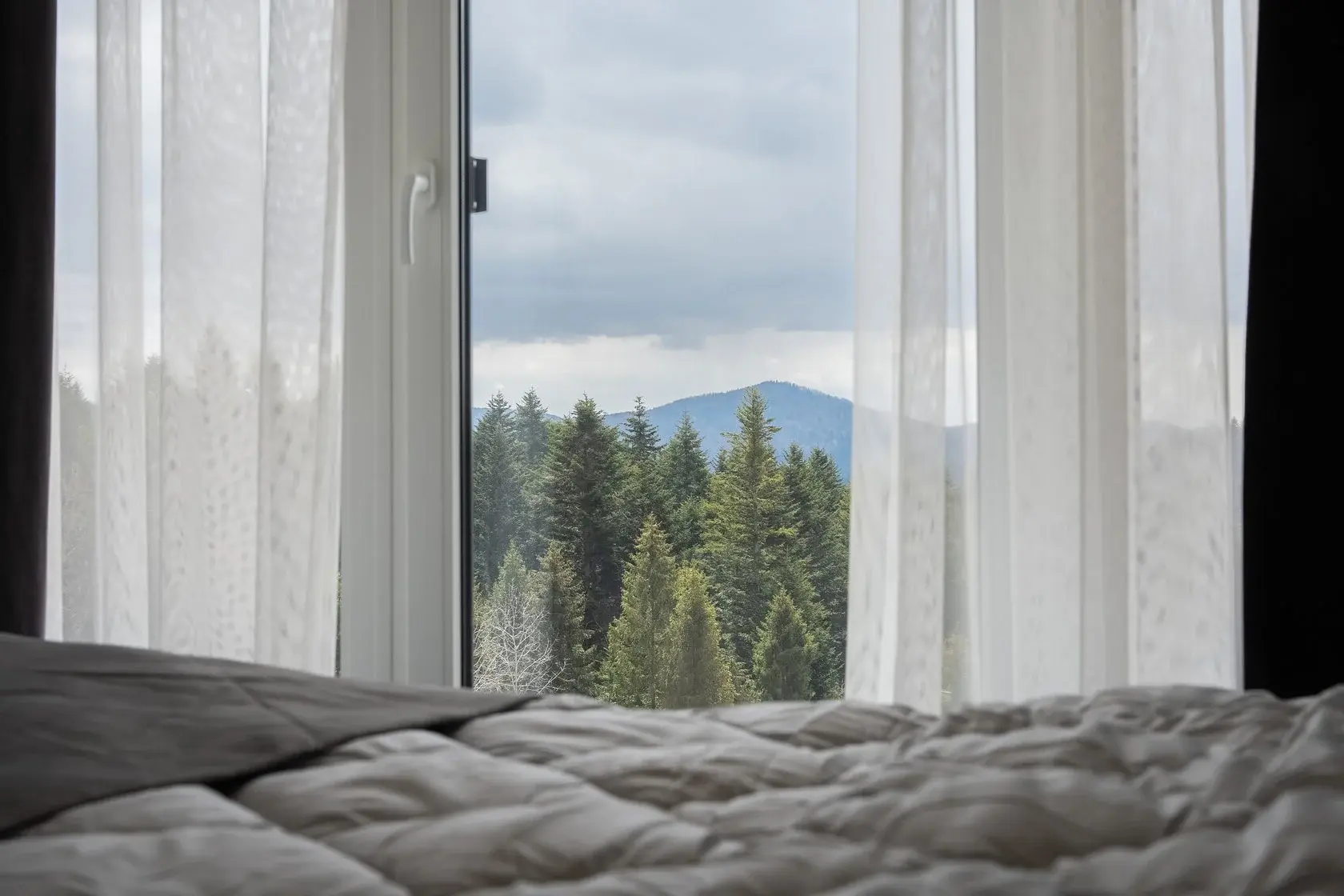 Интерьер Superior 1