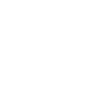 website icon