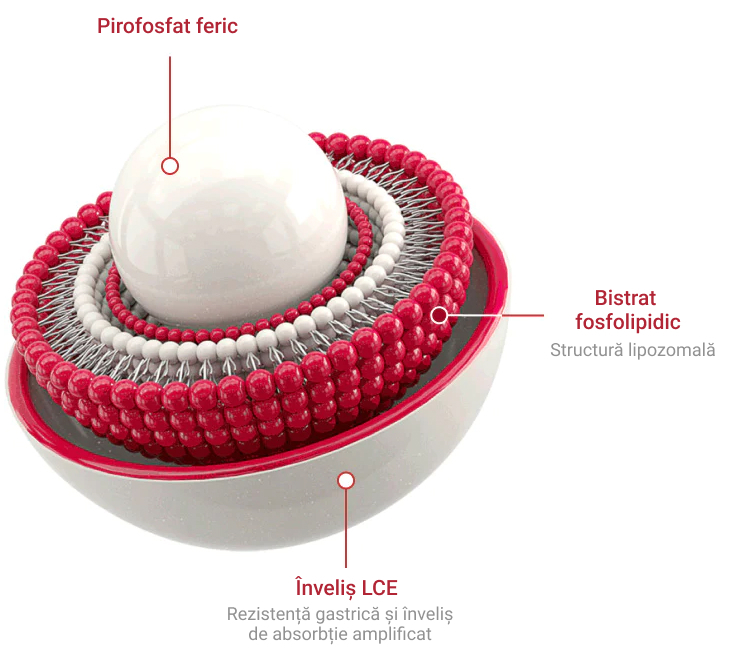 ferosom forte LCE Coat