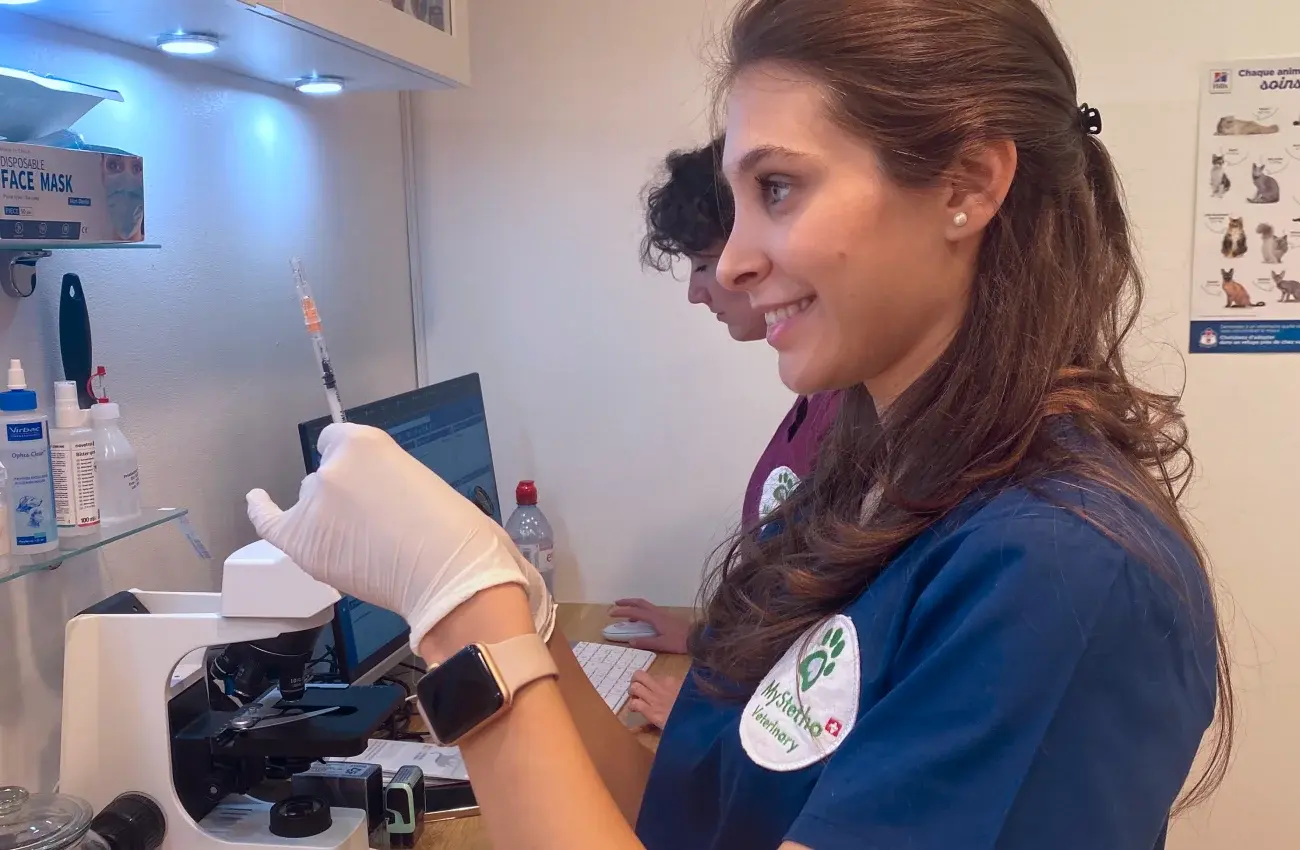 Vaccination DES chiens