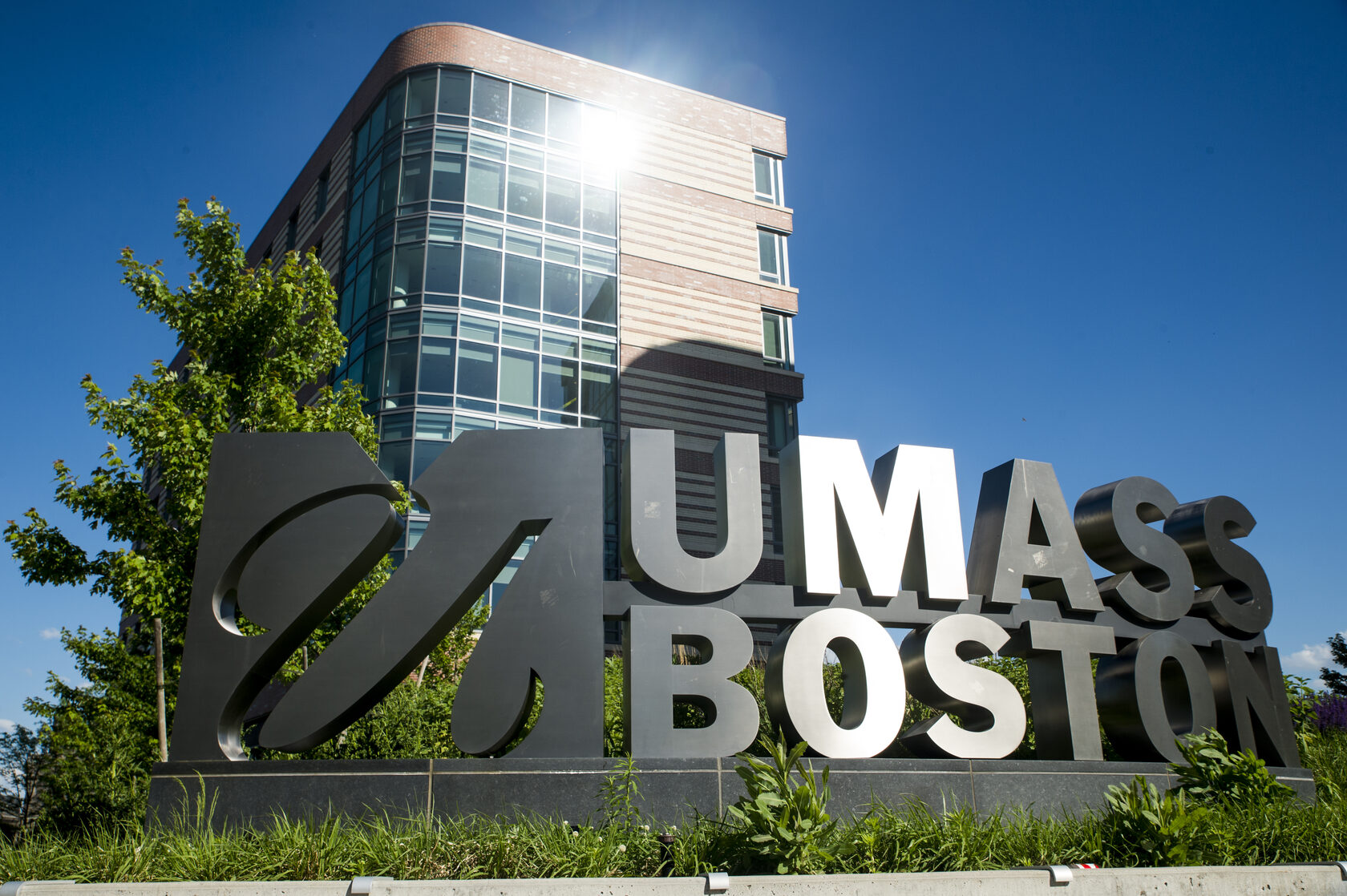 Колледж управления (UMass Boston)