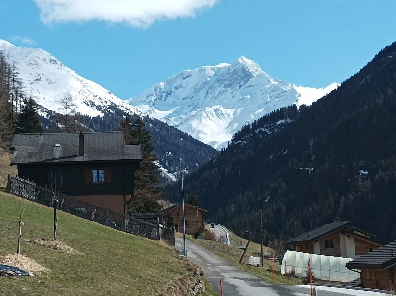 Swiss Alps Coliving