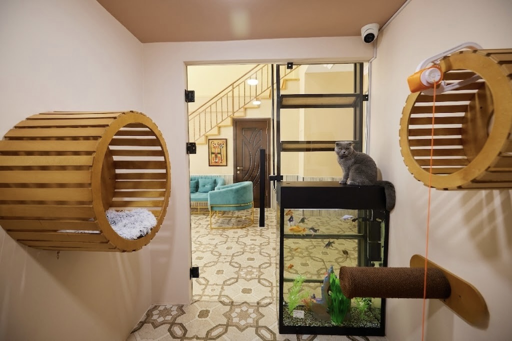 Премиум с аквариумом