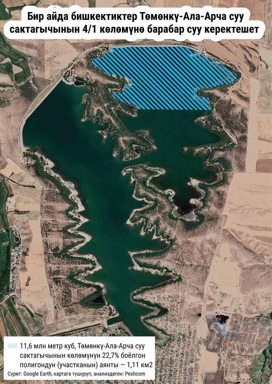 Сексуалды қыздардың суреттері Олар мені бәрінің көзінше сиқылауға мәжбүр етті.