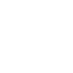 website icon