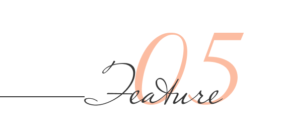 visualization course