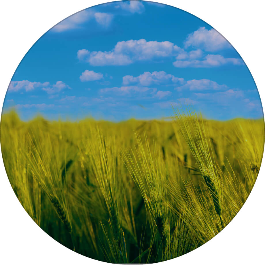 Дев'ятий вал