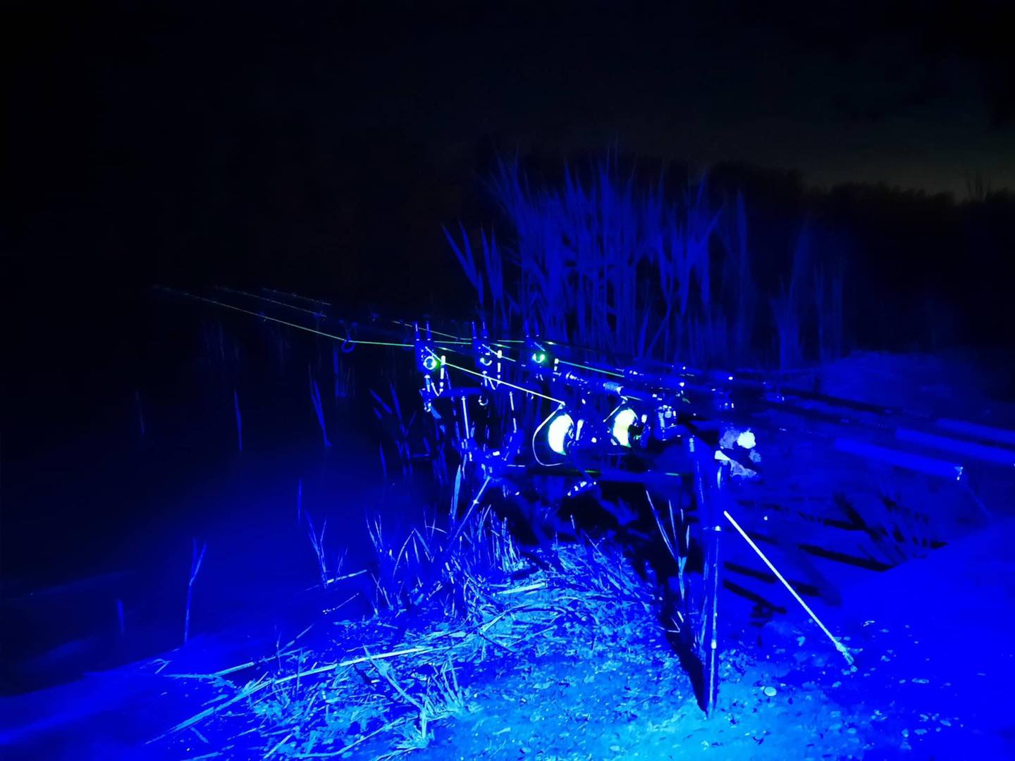 Katran Fishing Line - Your ultimate night fishing performance with Katran  Headlamp W/B 460 PRO and one of these lines: ✓ Synapse Neon ✓ Synapse  Eclipse ✓ Crypton Symbios ✓ Crypton Carp