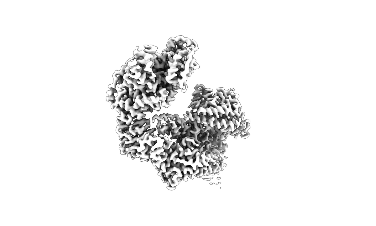 Ghilarov Lab