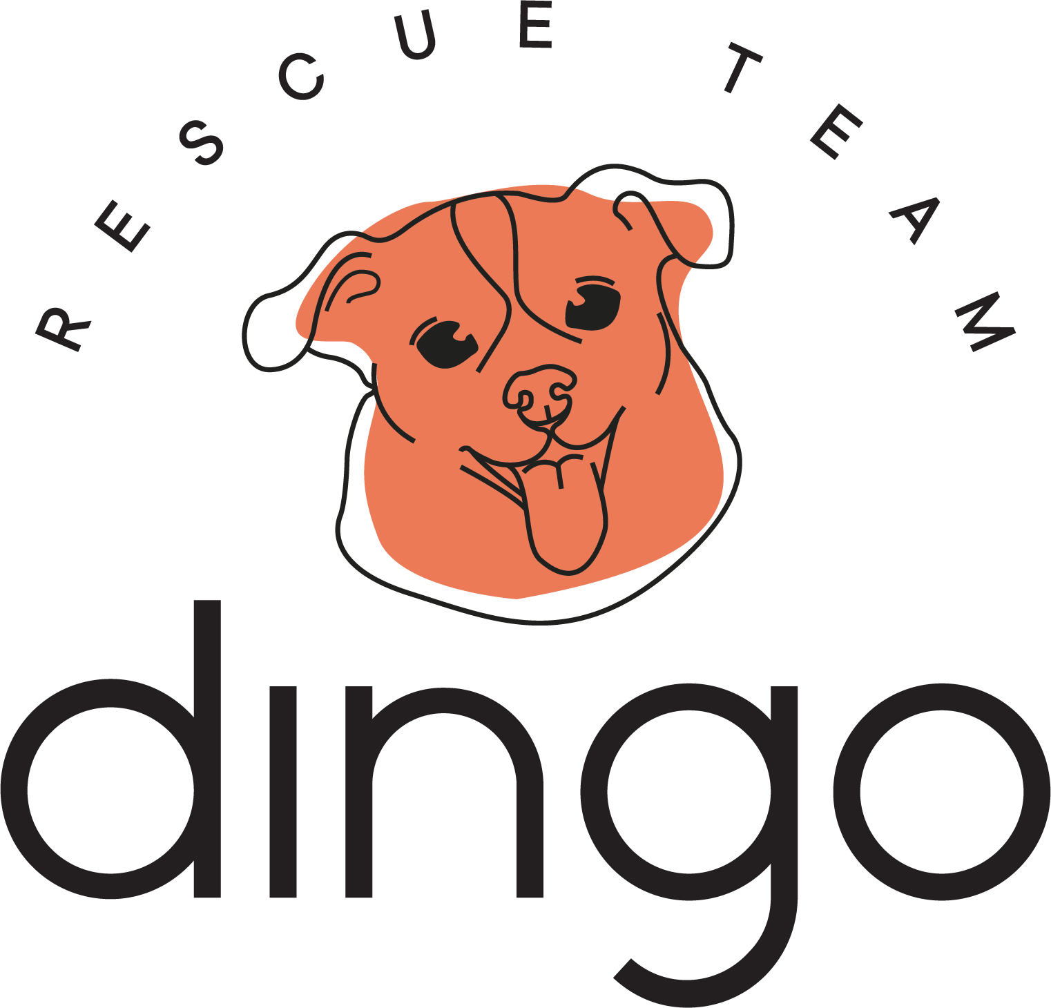 Партнёр кампании: Dingo Team