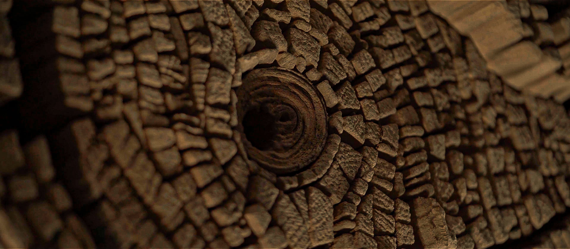 Mosaic Art Wood Wall Art by Tor Design