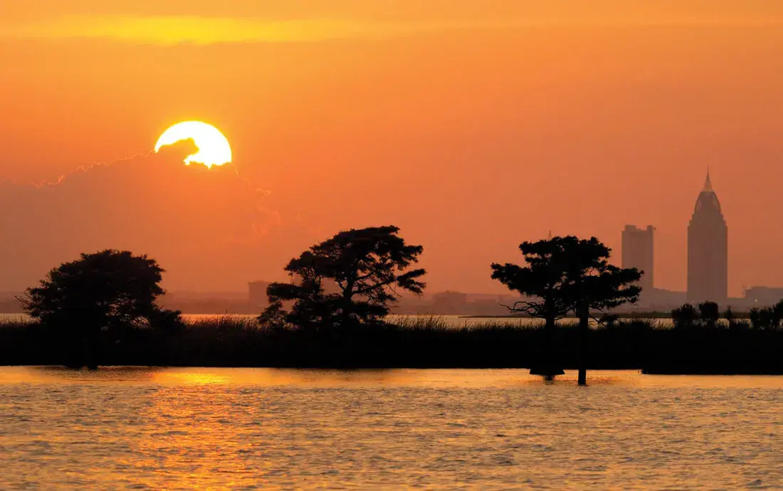 Accelerate Your Driving Career in Mobile!