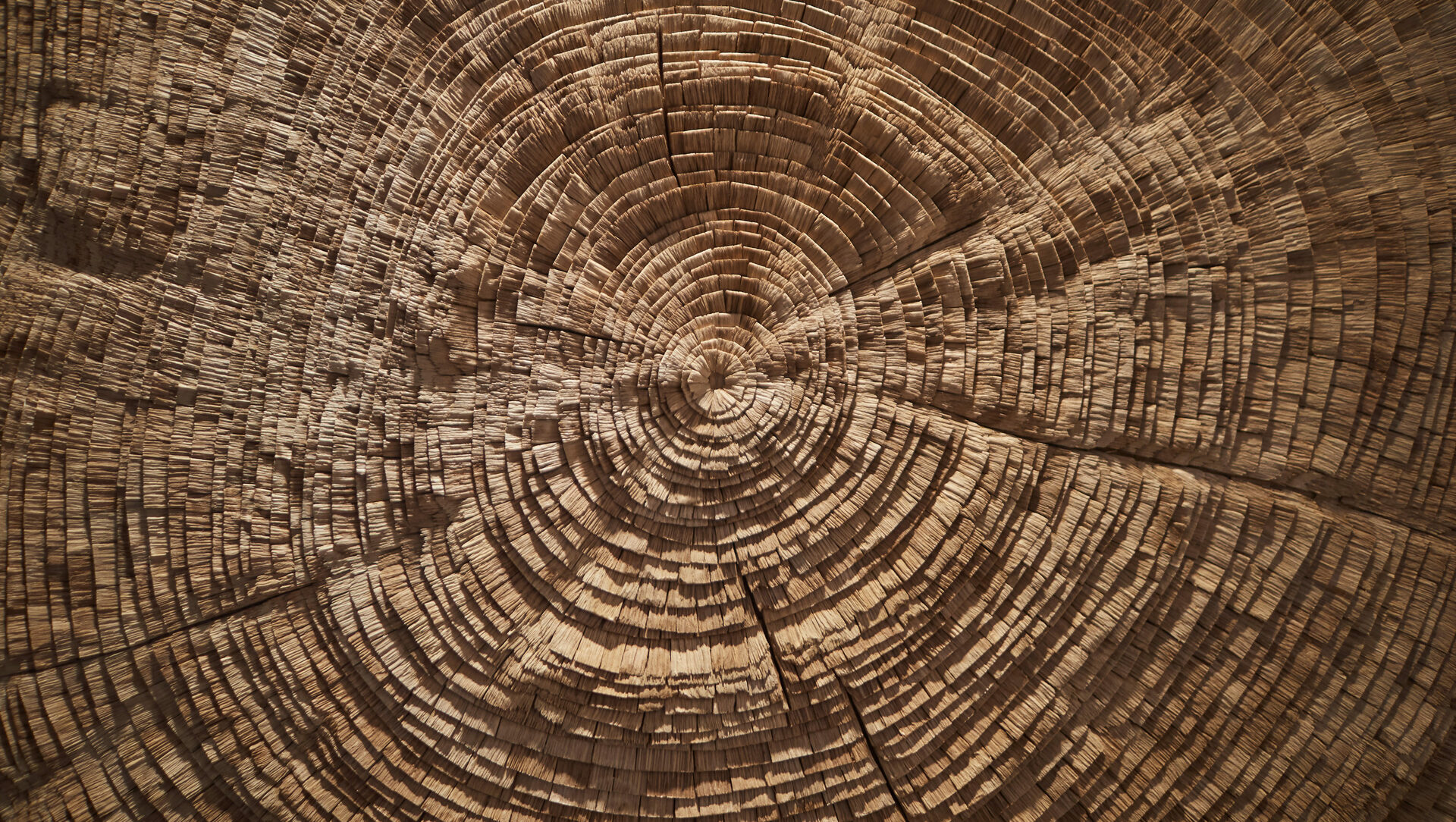 Wood Wall Decor by Tor Design - Nature Influence work: Rays of the three
