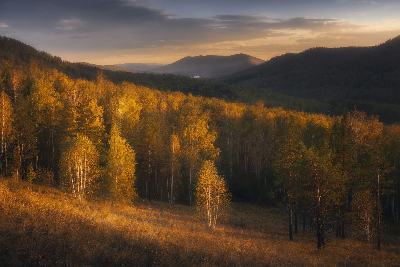 Осенний лес