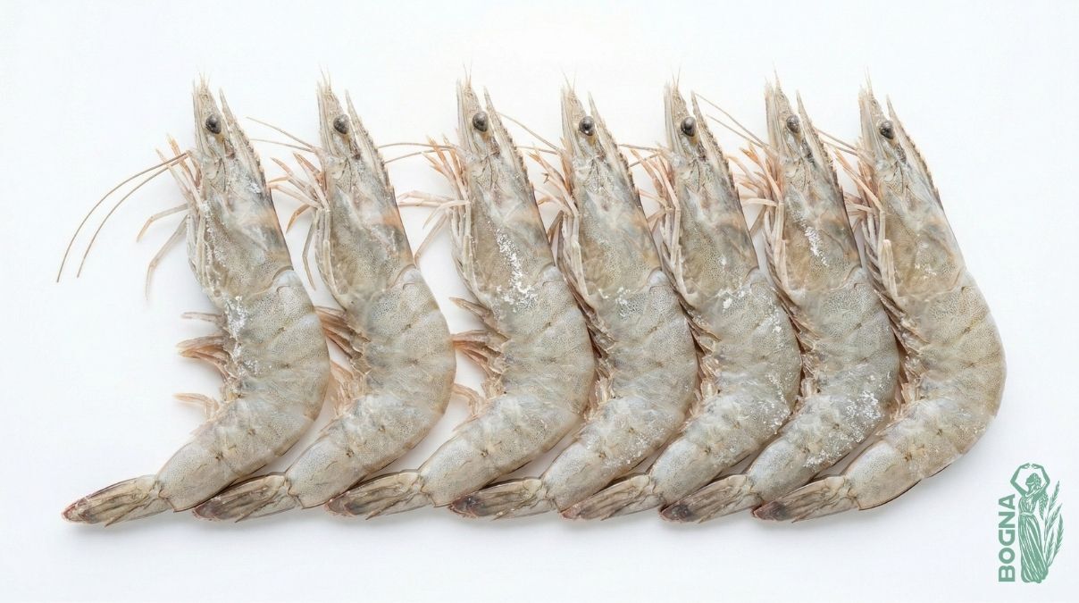 Vannamei Shrimp — IQF from Vietnam Bogna Trade